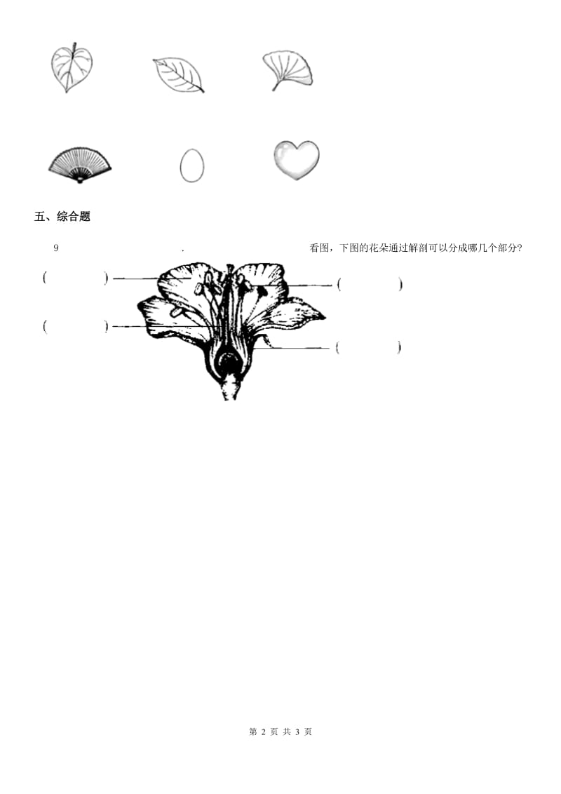 2020年（春秋版）教科版科学一年级上册1.3 观察叶练习卷（II）卷_第2页