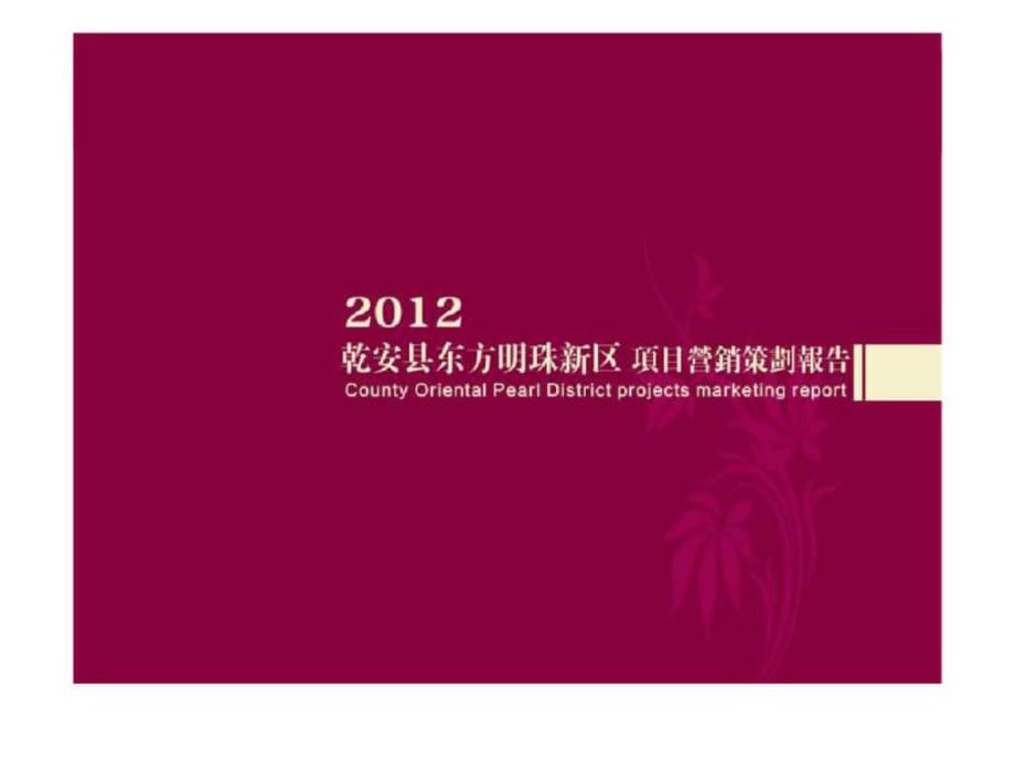 2012年松原市乾安縣東方明珠新區(qū)項目營銷策劃報告_第1頁