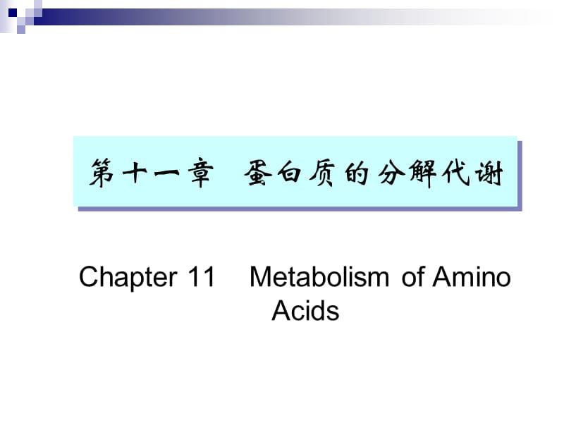 《蛋白質(zhì)的分解代謝》PPT課件_第1頁