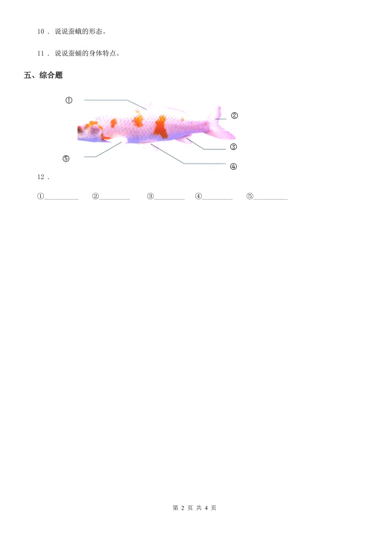 2019版粤教版科学二年级下册1.1 菜叶上的蜗牛练习卷C卷_第2页