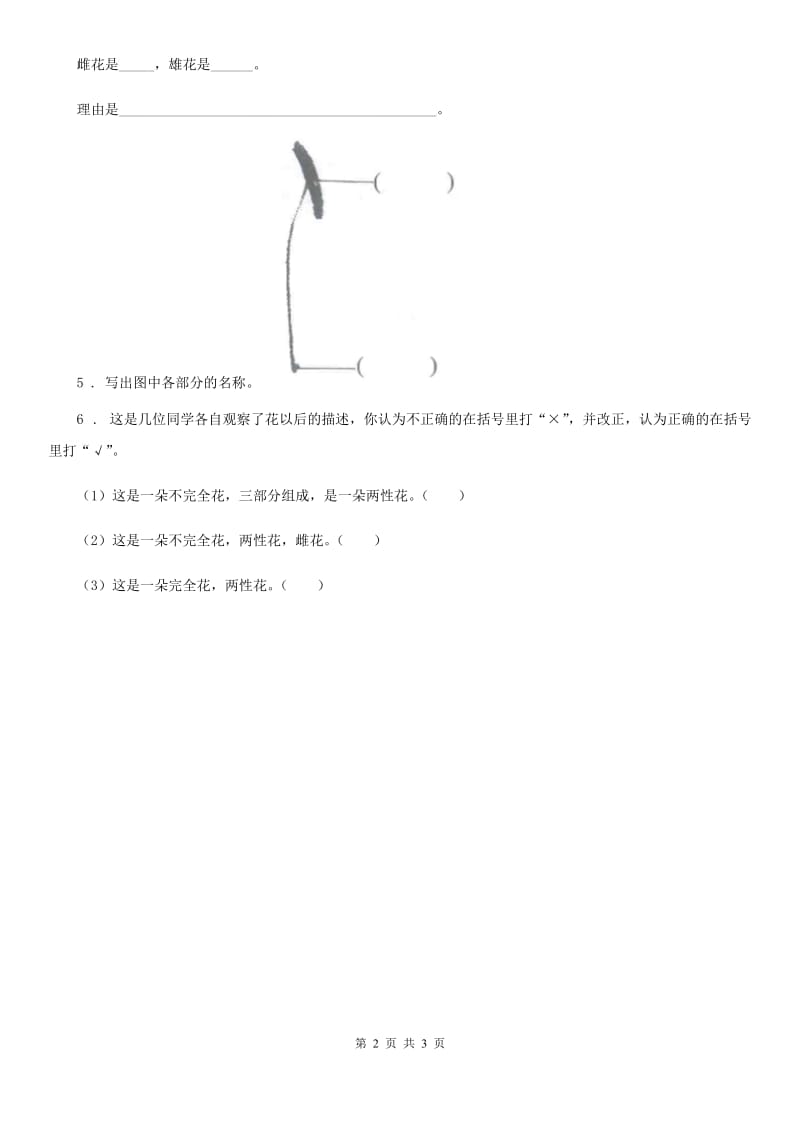 教科版科学一年级上册1.3 观察叶练习卷（1）_第2页