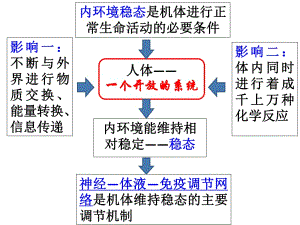 《神經(jīng)調(diào)節(jié)》ppt課件