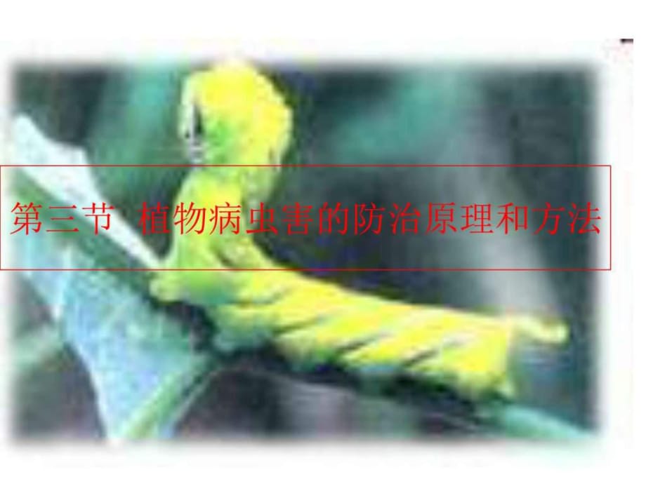 《植物病蟲害的防治原理和方法》課件_第1頁