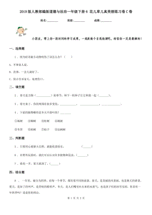 2019版人教部編版道德與法治一年級下冊6 花兒草兒真美麗練習(xí)卷C卷