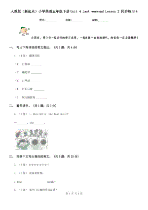 人教版（新起點(diǎn)）小學(xué)英語(yǔ)五年級(jí)下冊(cè)Unit 4 Last weekend Lesson 2 同步練習(xí)4