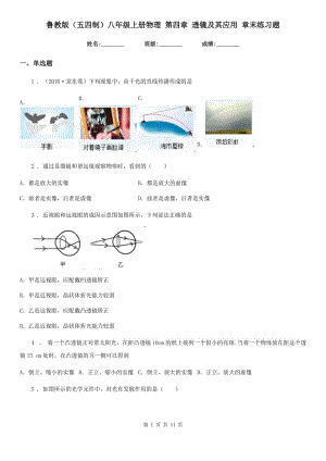 魯教版（五四制）八年級(jí)地理上冊物理 第四章 透鏡及其應(yīng)用 章末練習(xí)題