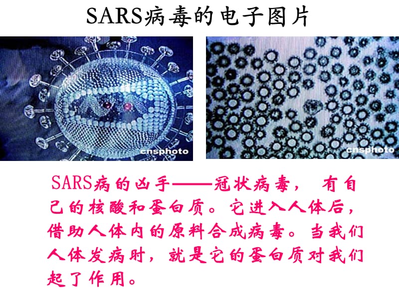 化学：4-3-1《蛋白质和核酸》课件（莒南）（人教版选修5）_第3页