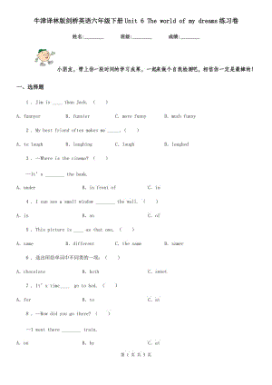 牛津譯林版劍橋英語六年級下冊Unit 6 The world of my dreams練習卷