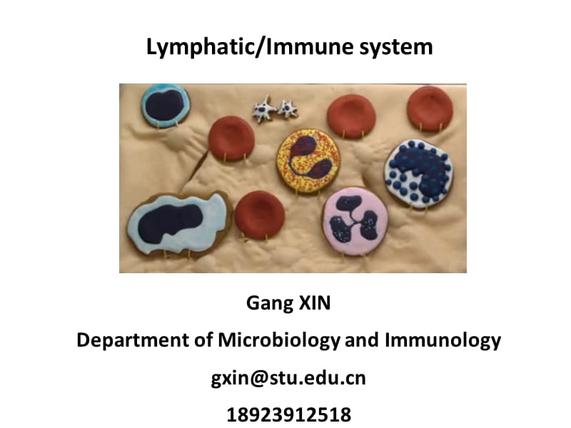 医学英语医英immunesystemppt课件_第1页