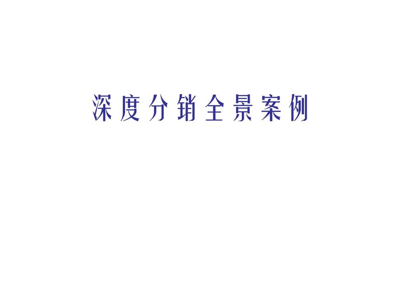 深度分销全景案例(全案)ppt67_第1页