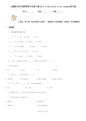 人教版(PEP)劍橋英語六年級下冊Unit 6 The world of my dreams練習(xí)卷