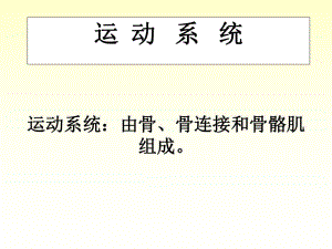 《人體解剖學》運動系統(tǒng)-骨與骨連接PPT課件