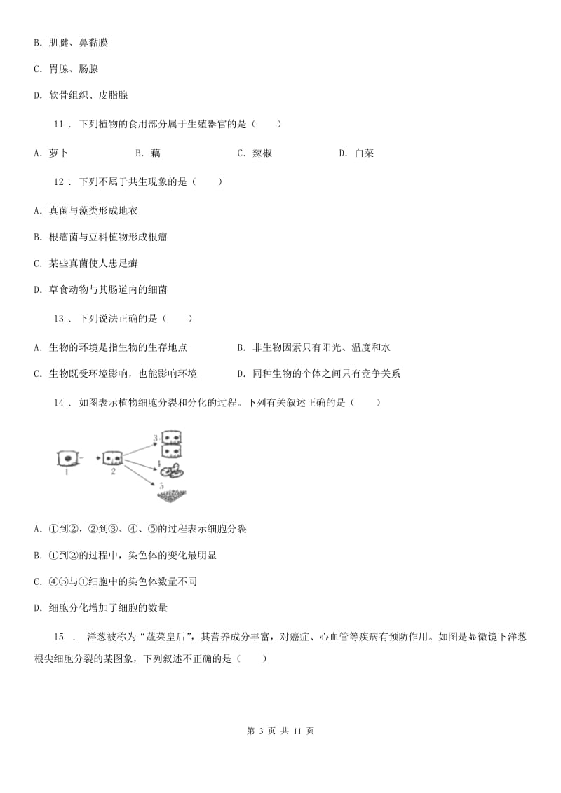 新人教版七年级上学期期中生物试题新编_第3页