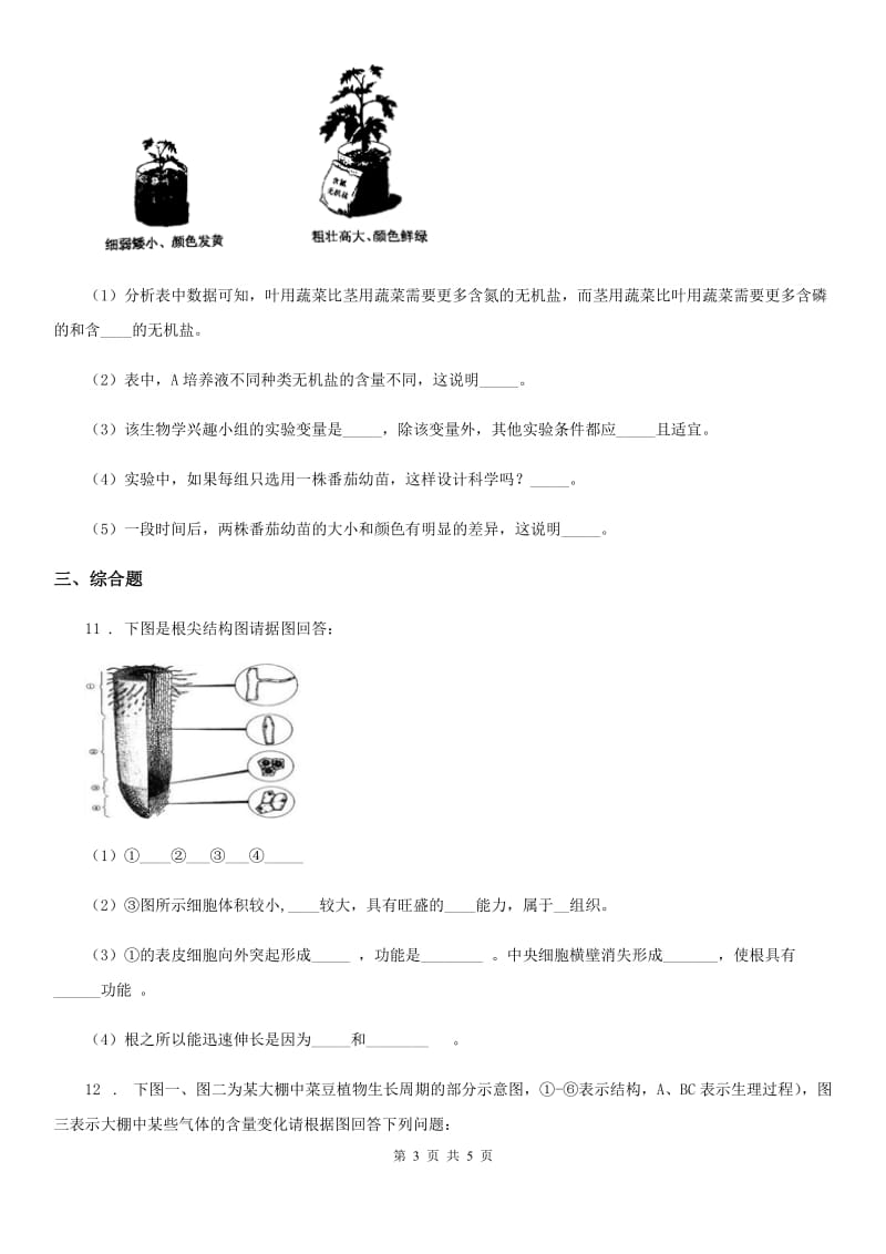 人教版七年级生物3.2.2植株的生长同步测试题_第3页