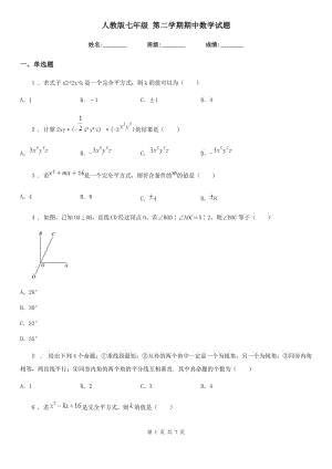 人教版七年級 第二學期期中數(shù)學試題