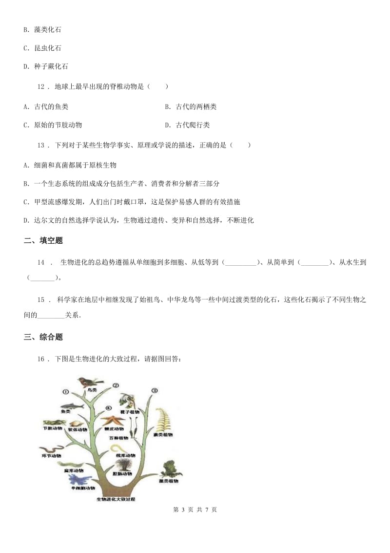 人教版（新课程标准）八年级下册生物同步练习题 8.3.2生物进化的历程_第3页