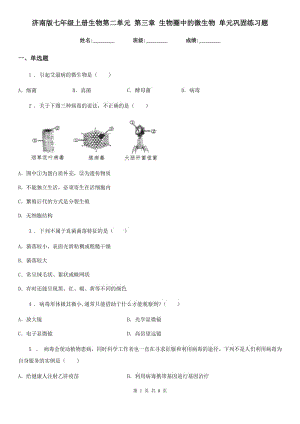 濟(jì)南版七年級(jí)上冊(cè)生物第二單元 第三章 生物圈中的微生物 單元鞏固練習(xí)題