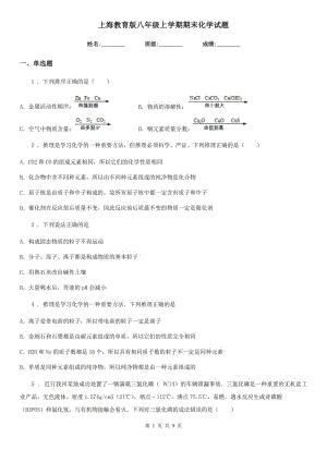 上海教育版八年级上学期期末化学试题(模拟)