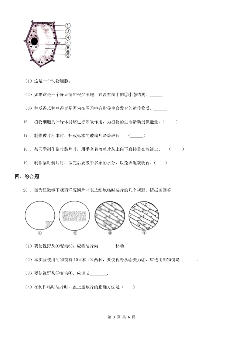 人教版（新课程标准）七年级上生物寒假作业-作业六_第3页