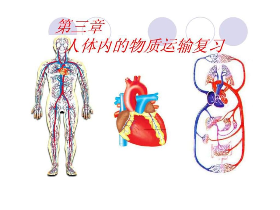 《人體內(nèi)的物質(zhì)運(yùn)輸》復(fù)習(xí)課件_第1頁(yè)