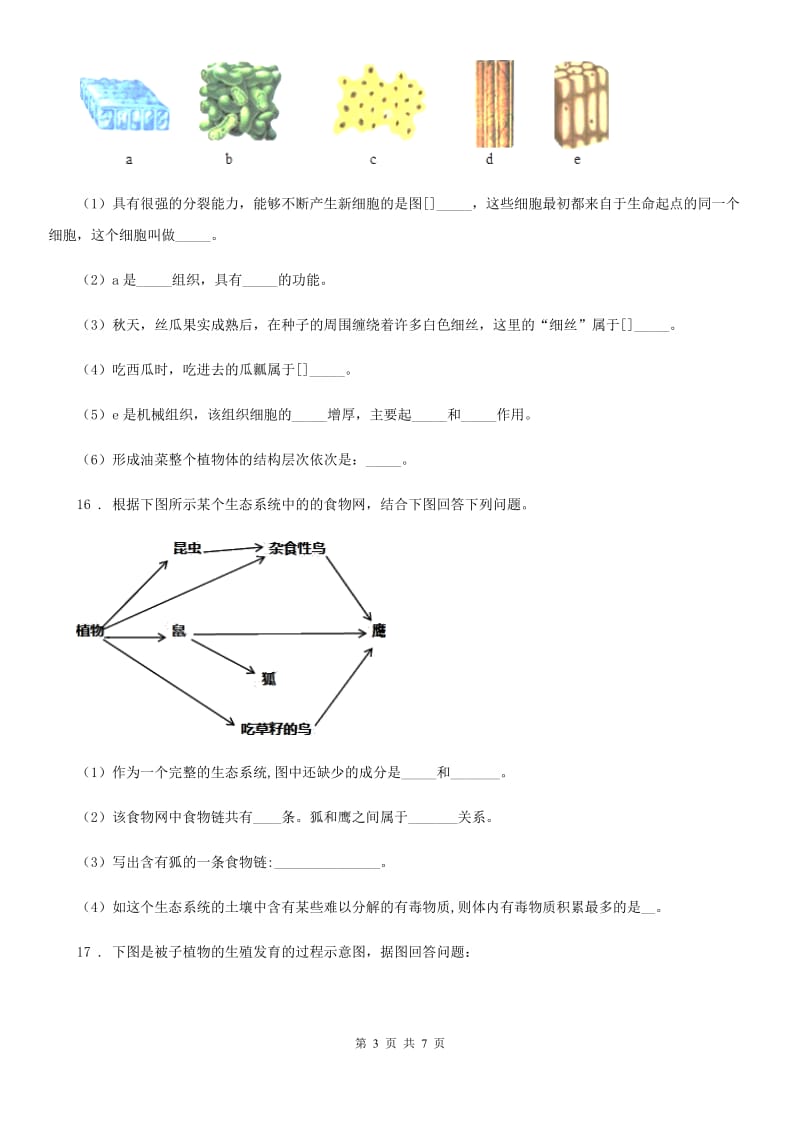 苏科版七年级下册生物 9.1植物体的组成_第3页