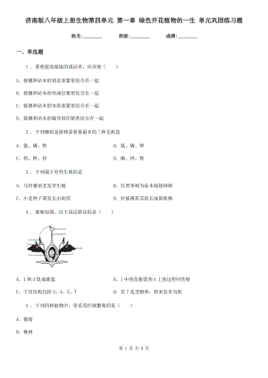 濟(jì)南版八年級上冊生物第四單元 第一章 綠色開花植物的一生 單元鞏固練習(xí)題