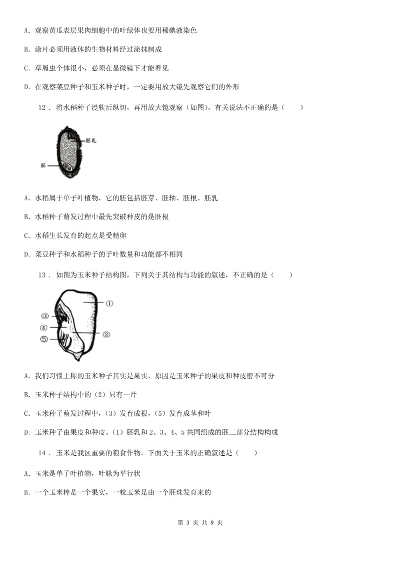 苏科版八年级上册生物 第七单元 19.2 植物的生长发育 同步练习题_第3页