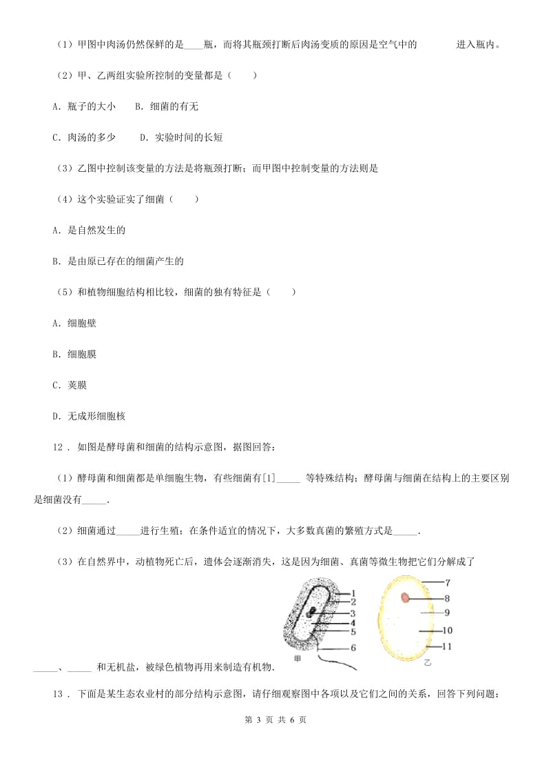 济南版七年级上册生物 第二单元 3.4 微生物在生物圈中的作用 同步练习题_第3页