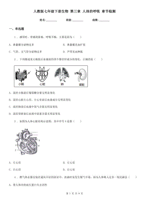 人教版七年級下冊生物 第三章 人體的呼吸 章節(jié)檢測