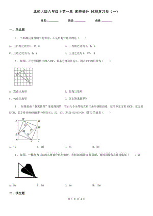 北師大版八年級(jí)數(shù)學(xué)上第一章 素養(yǎng)提升 過(guò)程復(fù)習(xí)卷（一）