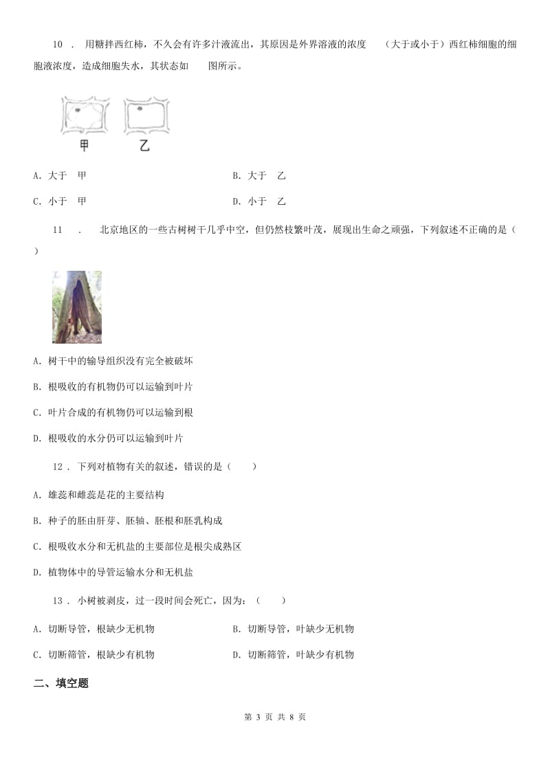 人教版（新课程标准）七年级下册生物同步练习题 5.1植物体内的物质运输_第3页