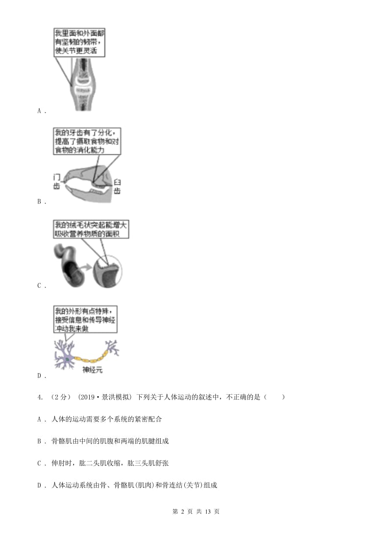 冀教版八年级上学期生物10月月考试卷（模拟）_第2页