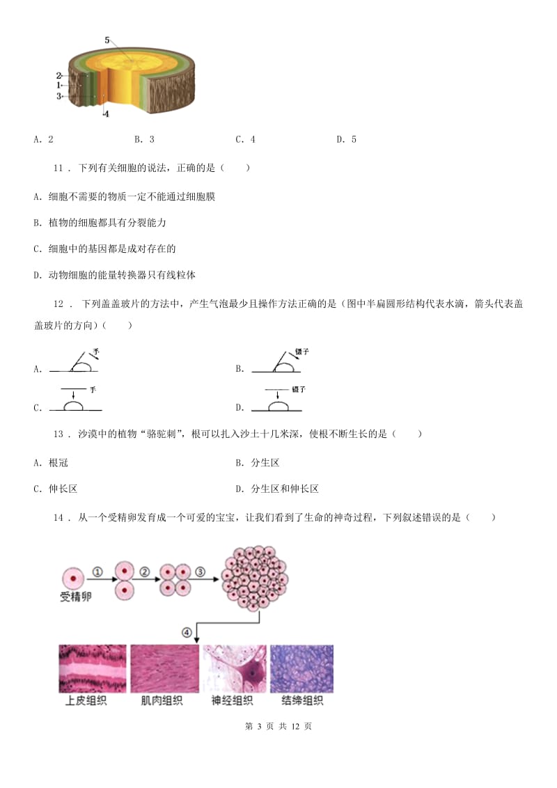 人教版（新课程标准）2020年（春秋版）七年级上学期期末考试生物试题C（练习）_第3页