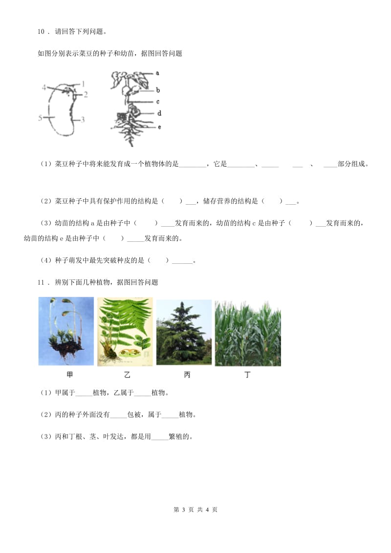 人教版七年级上册生物3.1.2种子植物同步测试_第3页