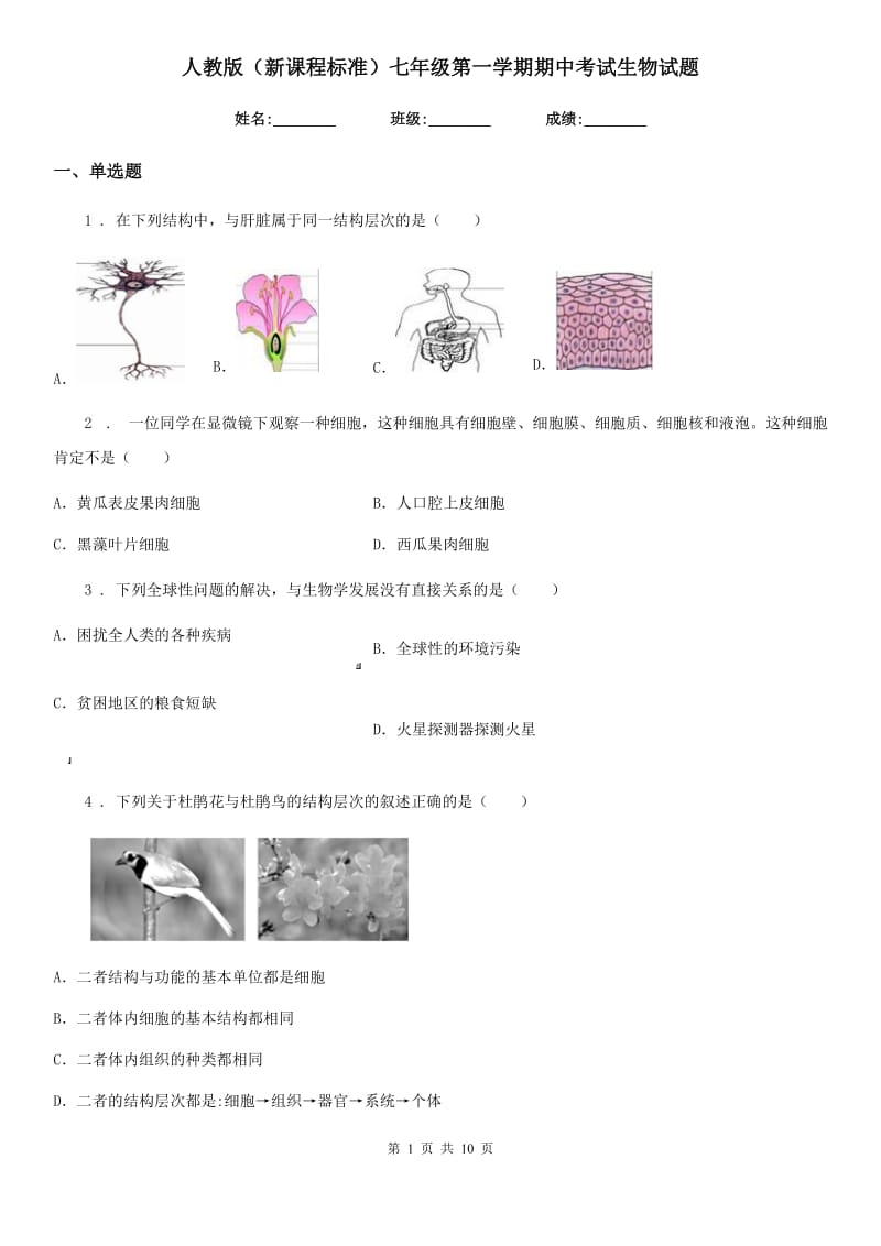 人教版（新课程标准）七年级第一学期期中考试生物试题_第1页