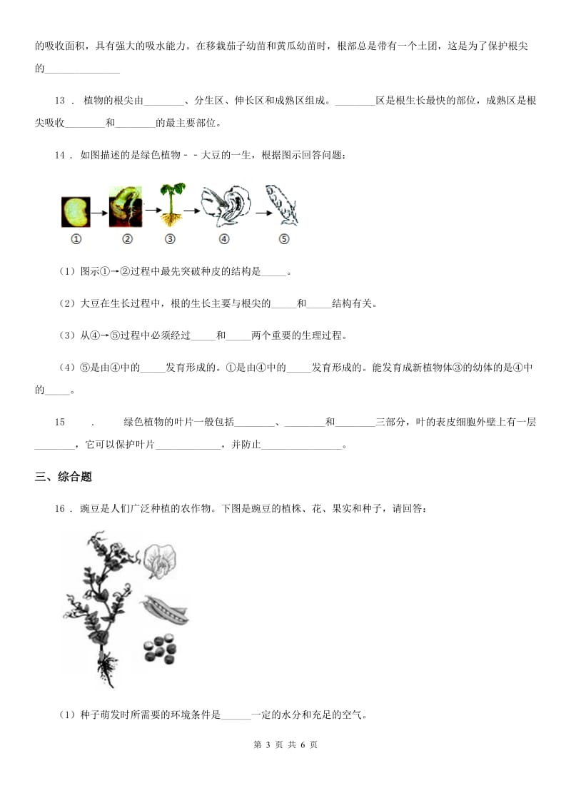 济南版八年级上册生物 4.1.4种子的萌发 同步测试题_第3页