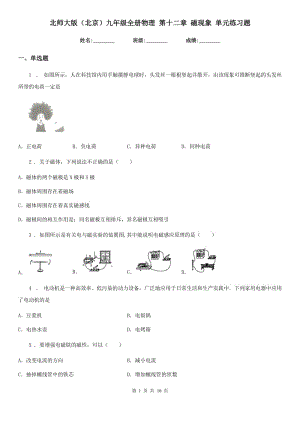 北師大版（北京）九年級(jí)全冊(cè)物理 第十二章 磁現(xiàn)象 單元練習(xí)題