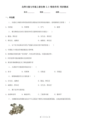 北師大版七年級上冊生物 5.3 吸收作用 同步測試