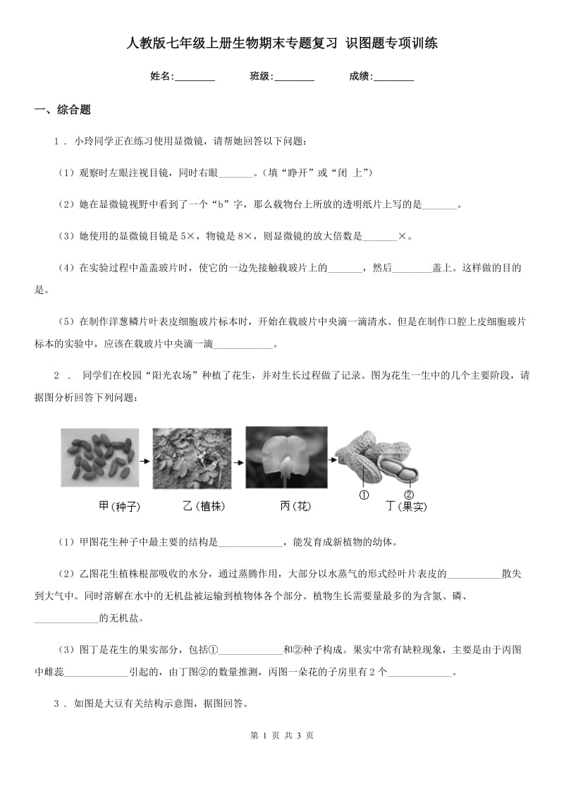 人教版七年级上册生物期末专题复习 识图题专项训练_第1页