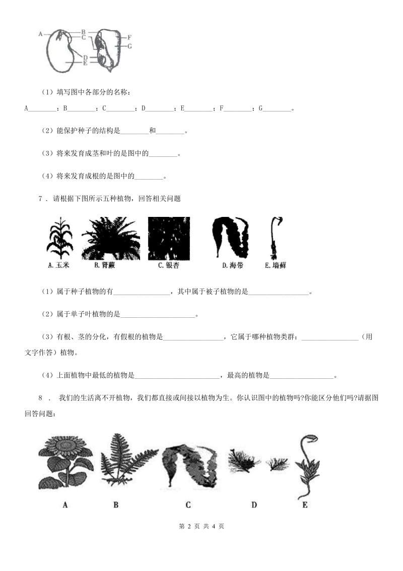 人教版生物七年级上学期3.1.1藻类、苔藓和蕨类植物同步练习题_第2页