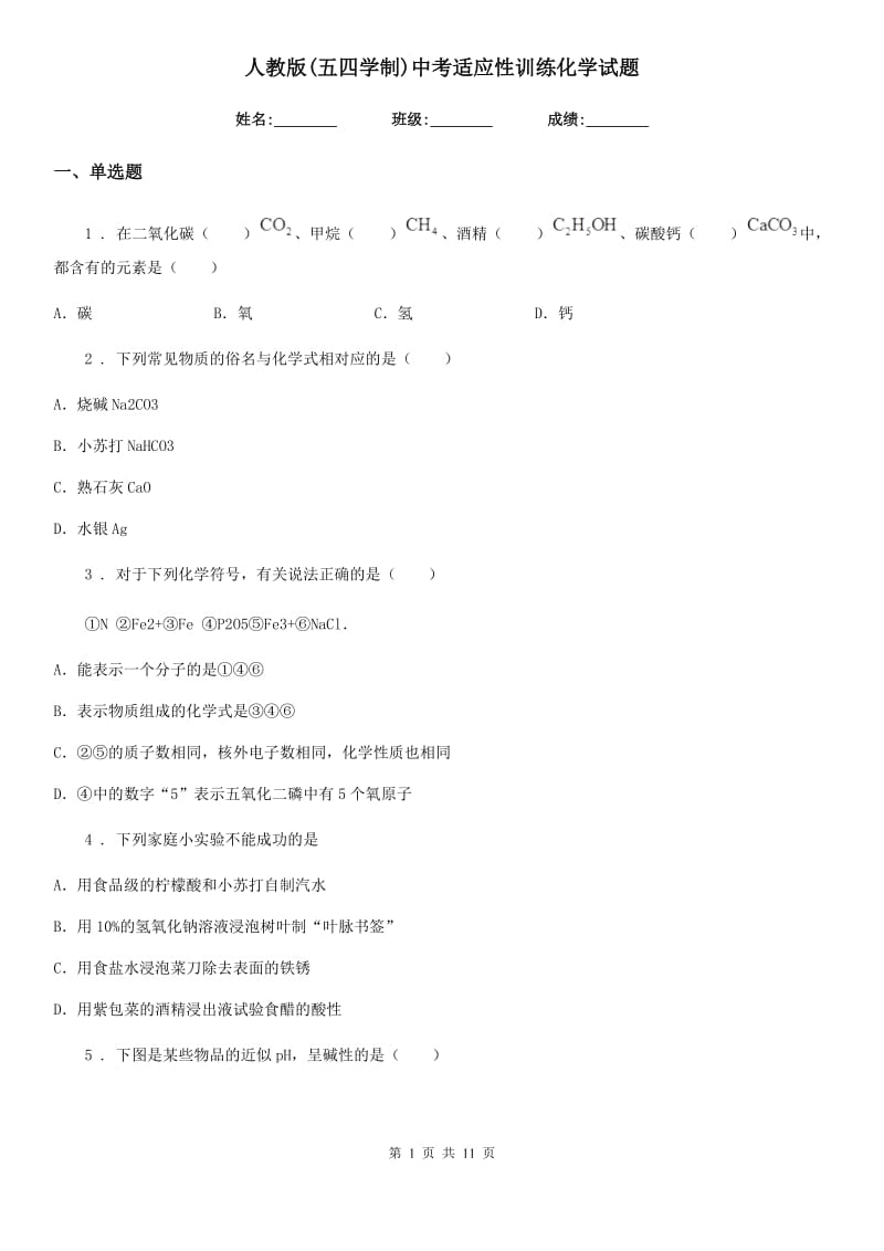 人教版(五四学制)中考适应性训练化学试题_第1页