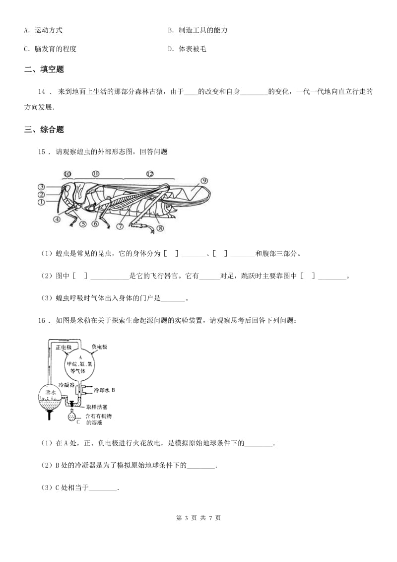 济南版八年级下册生物 5.2.2人类的进化 同步测试题_第3页