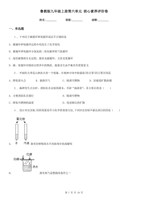 魯教版九年級(jí)化學(xué)上冊(cè)第六單元 核心素養(yǎng)評(píng)價(jià)卷