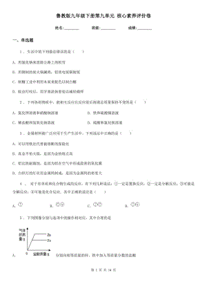 魯教版九年級化學下冊第九單元 核心素養(yǎng)評價卷