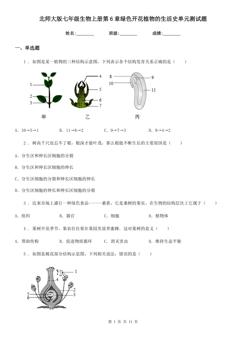 北师大版七年级生物上册第6章绿色开花植物的生活史单元测试题_第1页