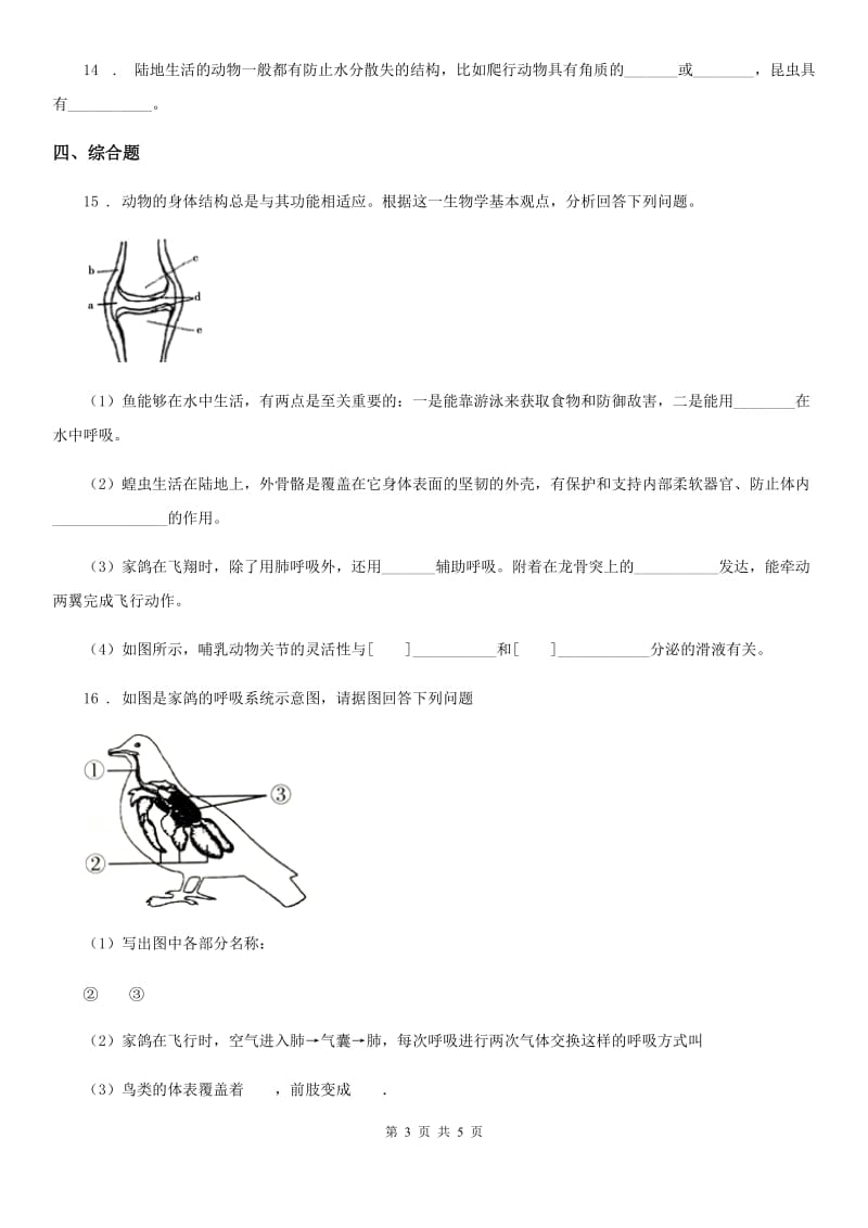 人教版八年级生物上册 第五单元 第一章 第六节 鸟 同步测试题_第3页