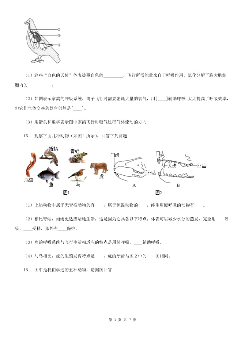 苏科版七年级下册生物 12.1鸟类 练习题_第3页