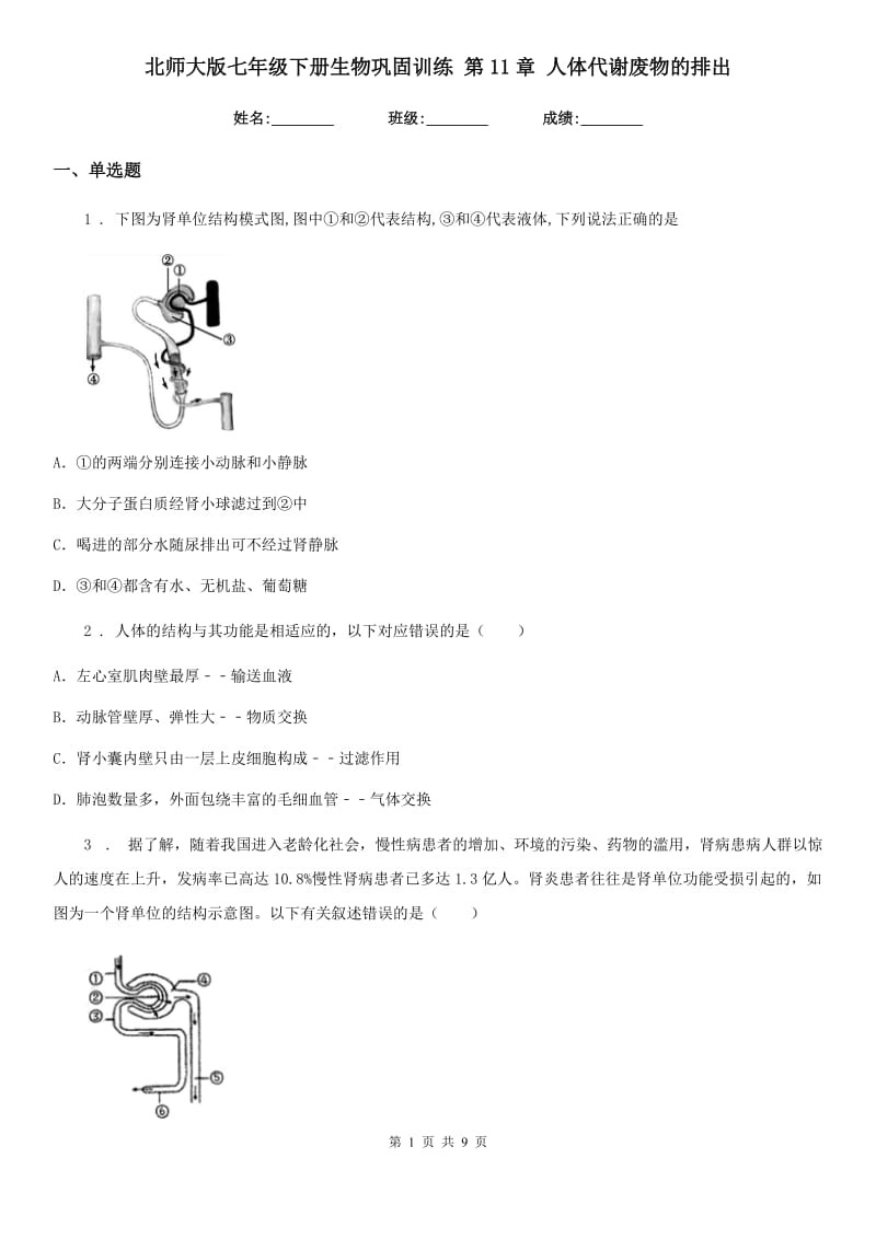 北师大版七年级下册生物巩固训练 第11章 人体代谢废物的排出_第1页