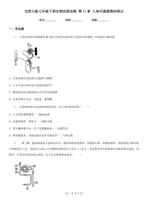 北師大版七年級下冊生物鞏固訓(xùn)練 第11章 人體代謝廢物的排出