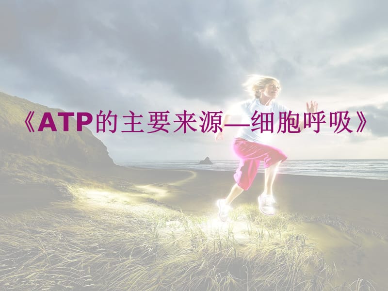 《ATP的主要來源-細(xì)胞呼吸》說課_第1頁